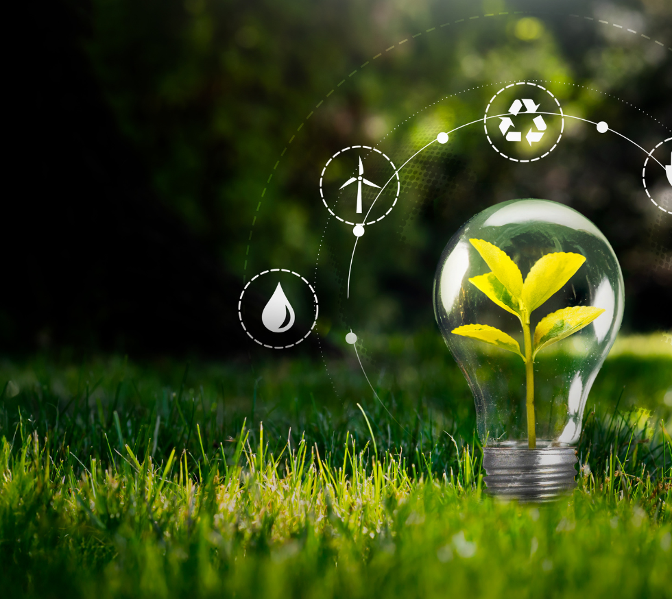 WORLD OLYMPIAD SUSTAINABLE DEVELOPMENT